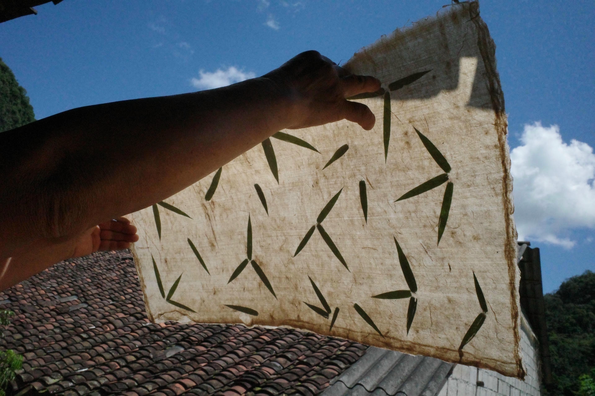 Handmade paper sheet with pressed leaves for natural texture at Dìa Trên paper-making workshop on the Cao Bang Loop
