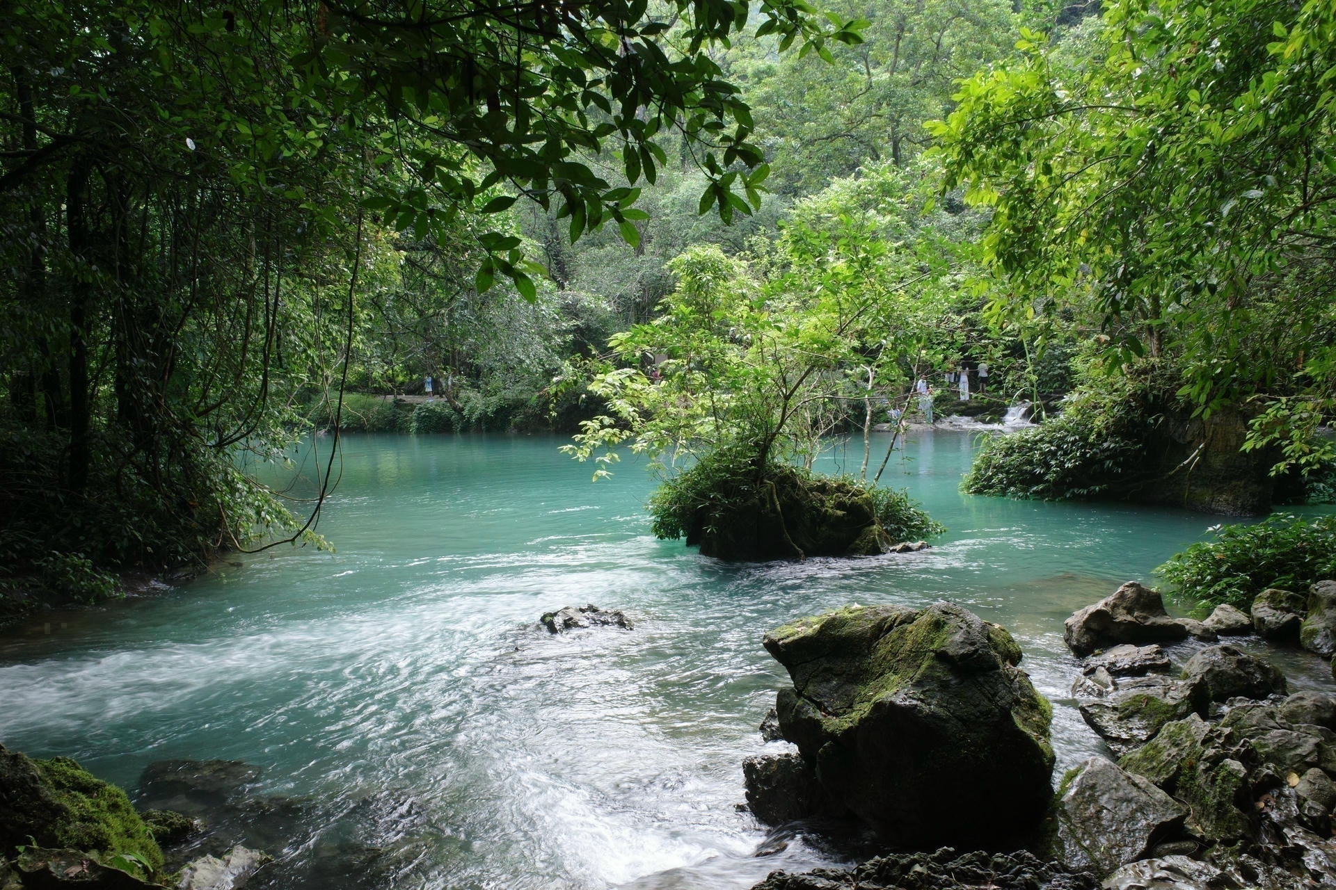 Clear turquoise water of Lenin Stream flowing through lush forest on the Cao Bang Loop