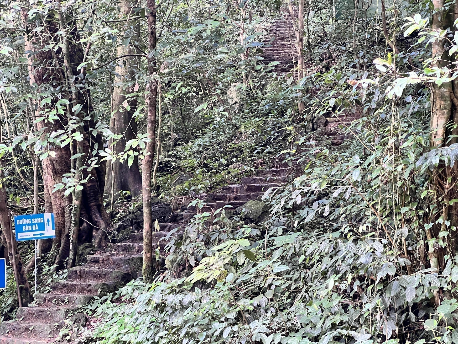 Marked trail leading through forest toward Bàn Đá