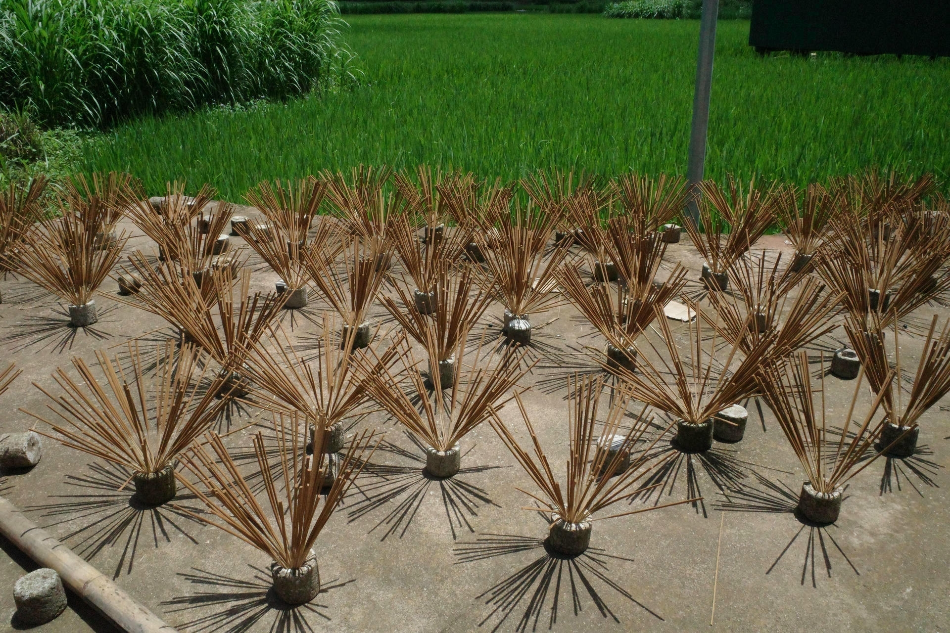 Bundles of colorful incense sticks drying in the sun at Phia Thắp incense village on the Cao Bang Loop